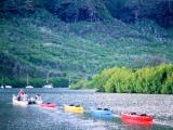 Outfitters Kauai Kayak Tour